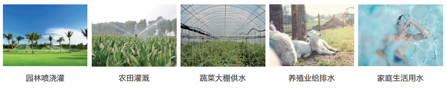 1706079823266538p572.png image.png